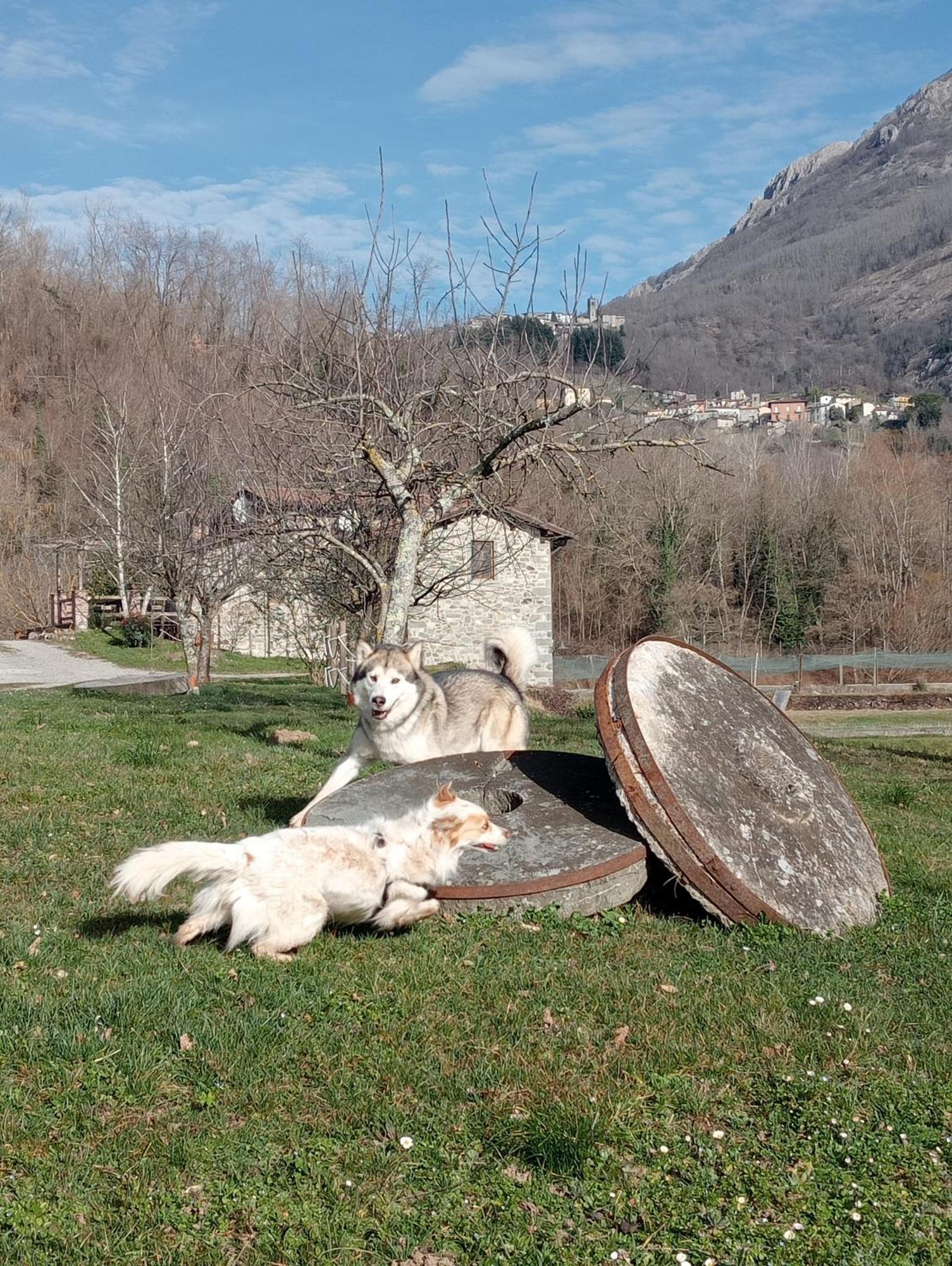 Le Macine Villa Magnano  Exterior photo